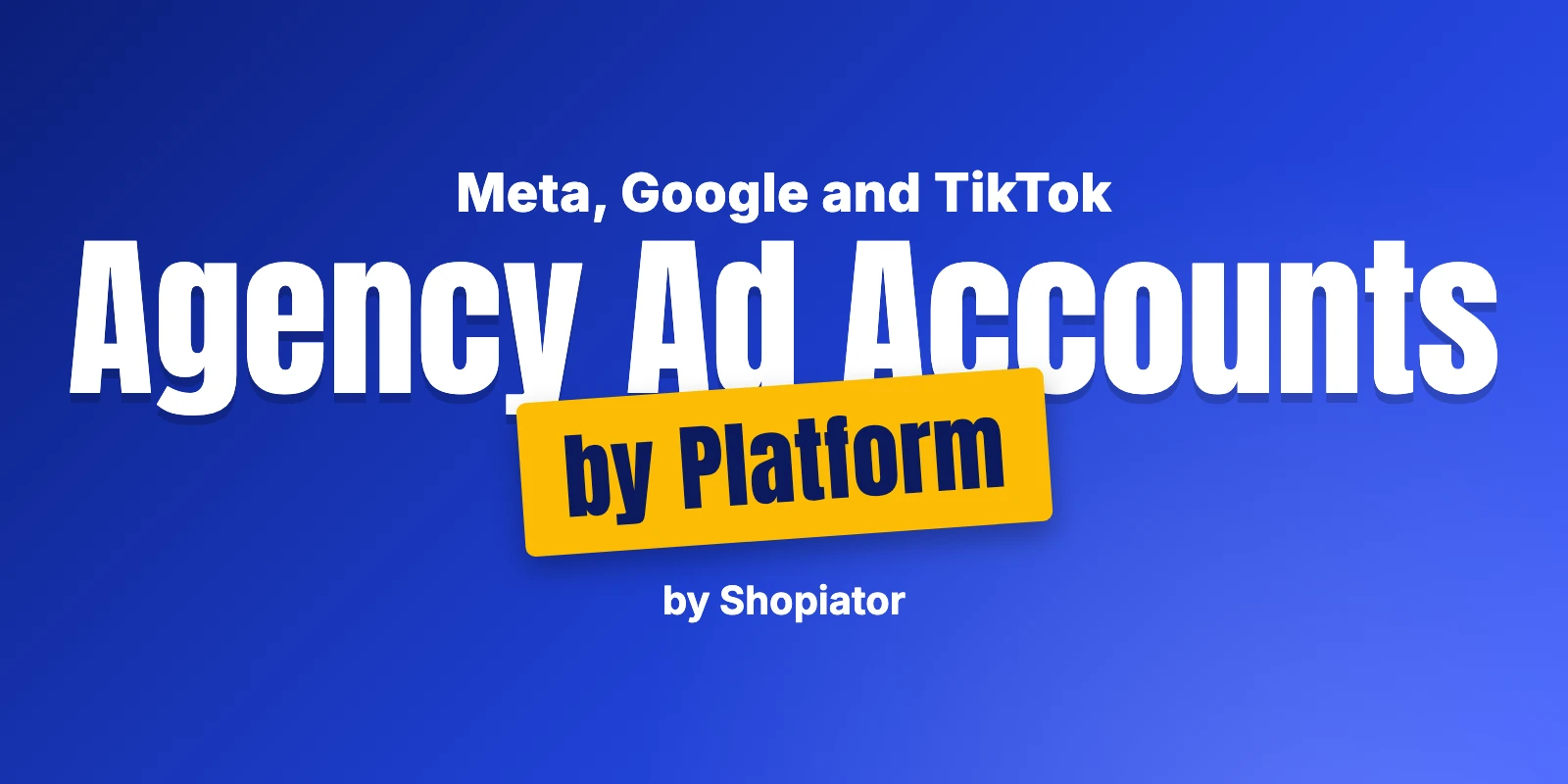 Agency Ad Accounts by Platform for Ecommerce: Meta, Google, TikTok